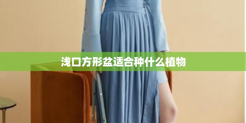 浅口方形盆适合种什么植物