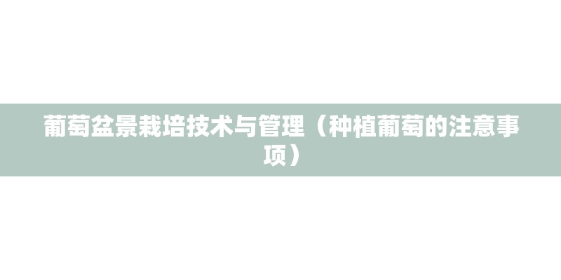 葡萄盆景栽培技术与管理（种植葡萄的注意事项）