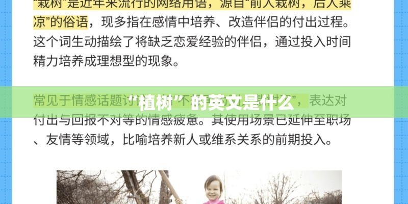 “植树”的英文是什么 “植树”的英文是什么