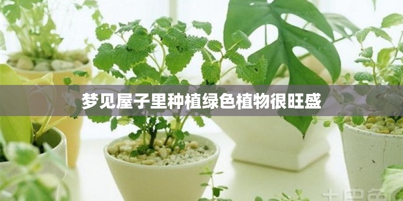 盆栽海棠树冬天怎么过冬