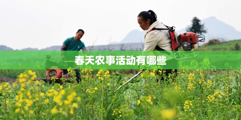 联想笔记本电脑排名前十