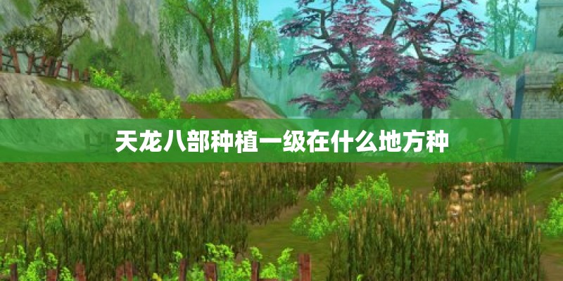 天龙八部种植一级在什么地方种