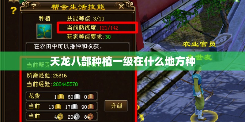 天龙八部种植一级在什么地方种