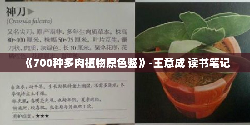 《700种多肉植物原色鉴》-王意成 读书笔记