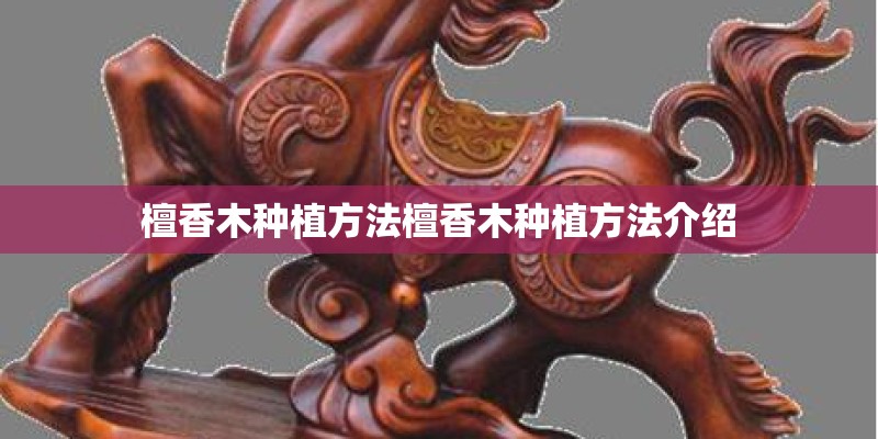 檀香木种植方法檀香木种植方法介绍