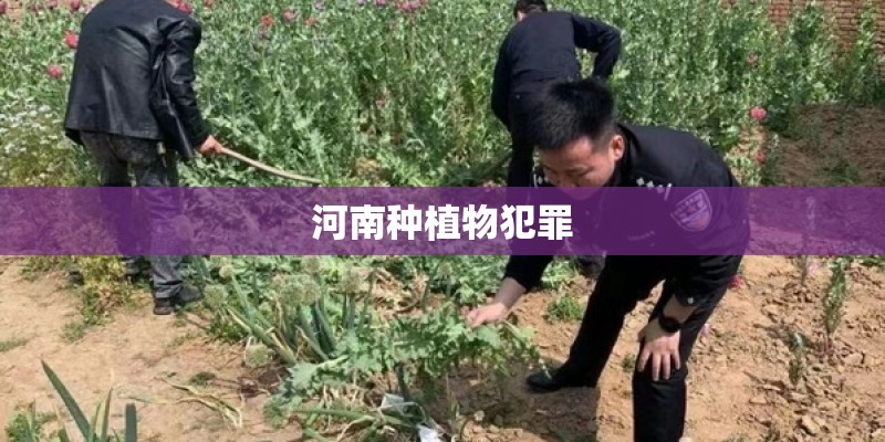 河南种植物犯罪