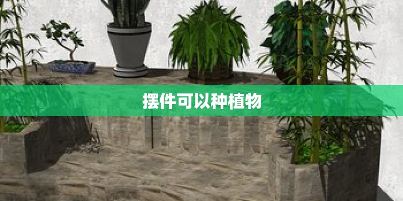 摆件可以种植物
