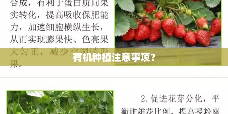 有机种植注意事项？