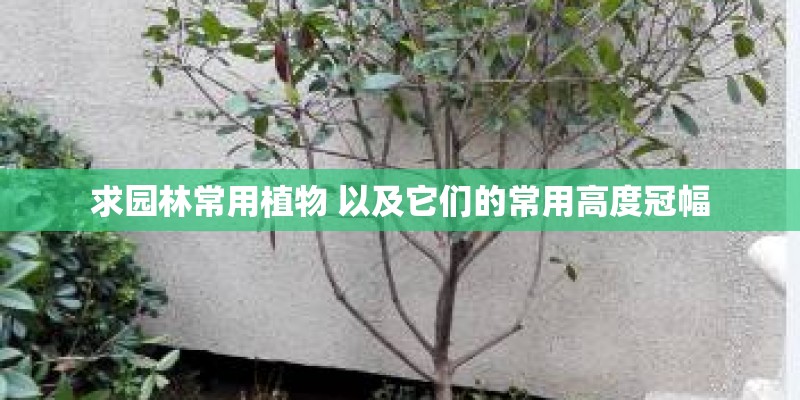 求园林常用植物 以及它们的常用高度冠幅
