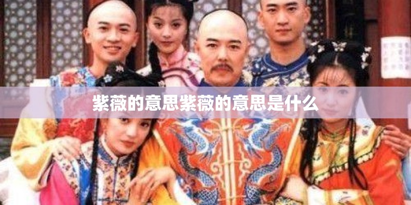 紫薇的意思紫薇的意思是什么 紫薇的意思紫薇的意思是什么