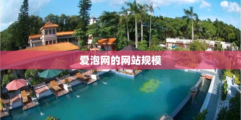 爱泡网的网站规模
