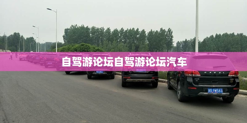 自驾游论坛自驾游论坛汽车