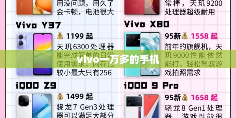 vivo一万多的手机
