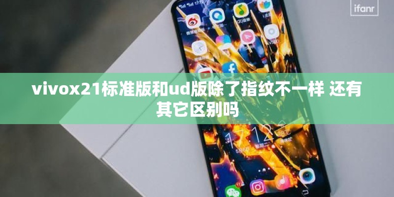 vivox21标准版和ud版除了指纹不一样 还有其它区别吗