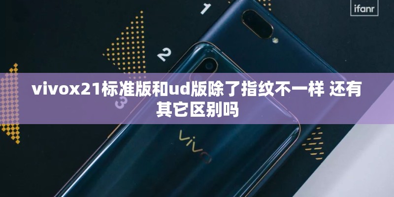 vivox21标准版和ud版除了指纹不一样 还有其它区别吗