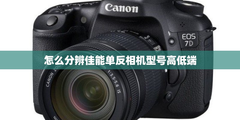 怎么分辨佳能单反相机型号高低端