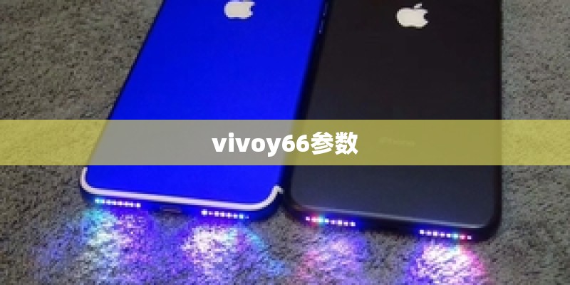 vivoy66参数