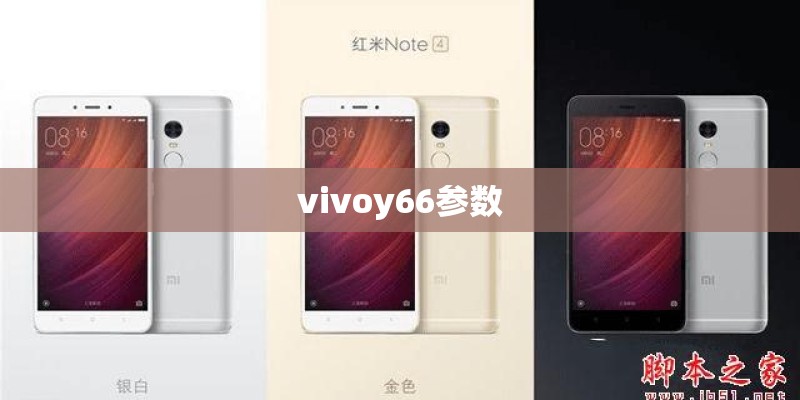 vivoy66参数