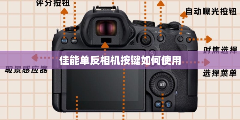 佳能单反相机按键如何使用