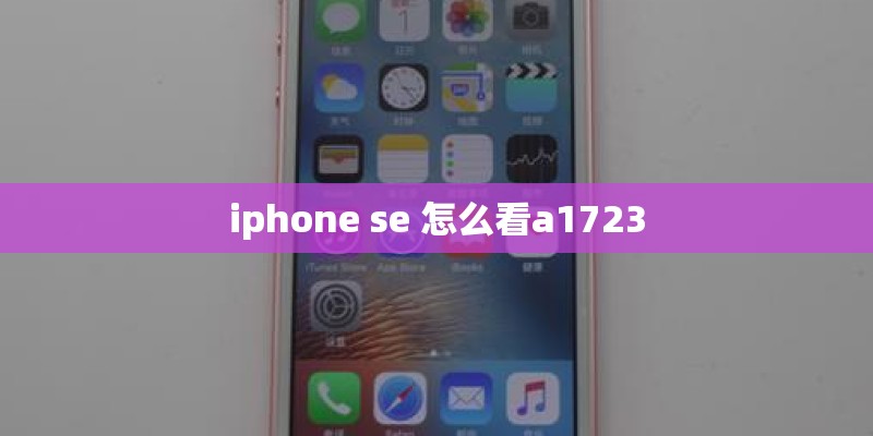 iphone se 怎么看a1723