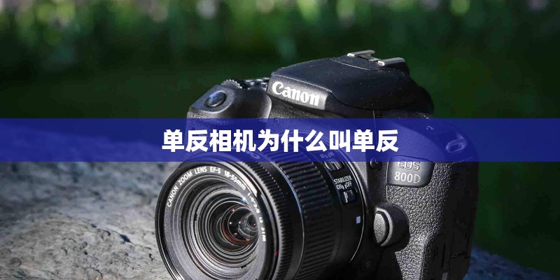 单反相机为什么叫单反