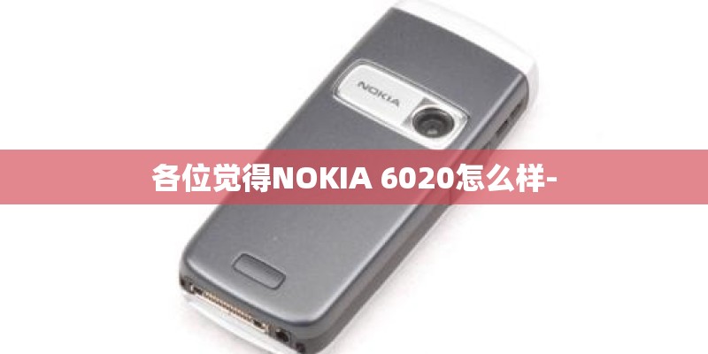 各位觉得NOKIA 6020怎么样-