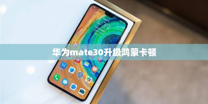 华为mate30升级鸿蒙卡顿