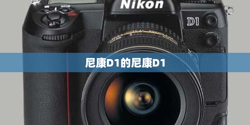 尼康D1的尼康D1