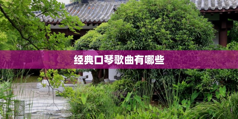 网络情歌