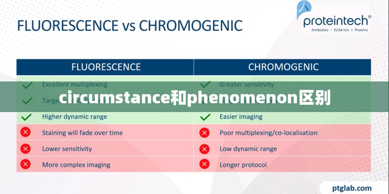 circumstance和phenomenon区别