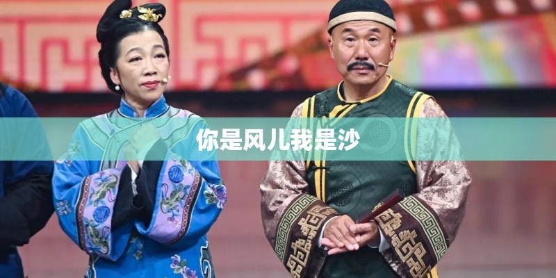 你是风儿我是沙