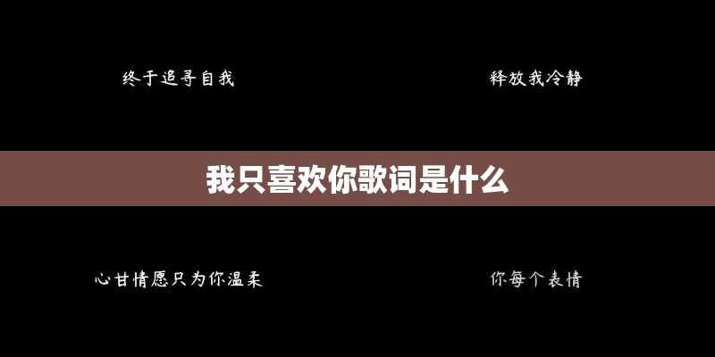 我只喜欢你歌词是什么