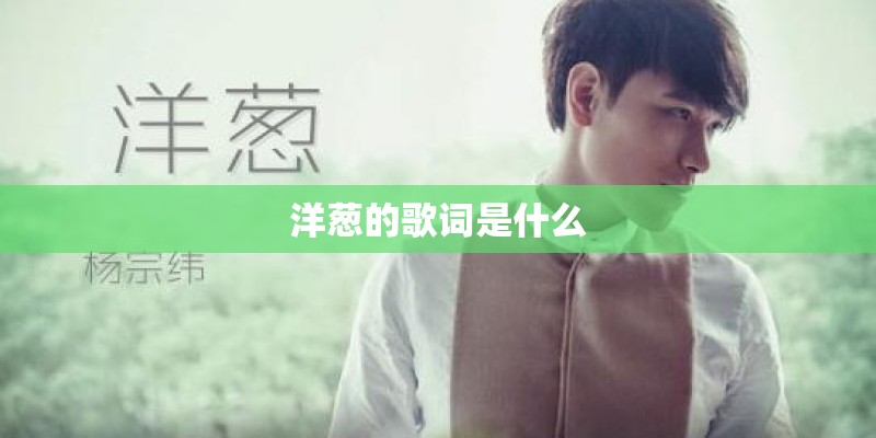 洋葱的歌词是什么